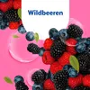 Sagrotan Flüssigseife No-Touch Brombeere/Waldfrüchte Produktbild-Vorschau 4