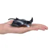 Mojo 387353 Animal Planet Mantarochen ca. 12 x 15 x 1 cm Produktbild-Vorschau 7