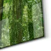 DEQORI Glasbild Echtglas 100x50 cm 'Mitten im Dschungel' Produktbild-Vorschau 5
