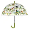 Parapluie Transparent Oiseaux Canne Automatique Oiseau Voir les images du produit 5