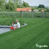 Zierrasensamen - Elegant (15 kg für 750 m2)- Organifer Produktbild-Vorschau 3