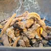 Legua ASTILLAS Olivenbaum 3 Kg Produktbild-Vorschau 4