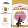 Royal Canin Maine Coon Kitten, Kocięta, Maine Coon, Drób, Podgląd zdjęcia produktu 5