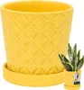 KOTARBAU® Doniczka ze spodkiem Musztardowy żółty ⌀ 13 cm Podgląd zdjęcia produktu 1