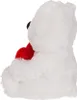 A white teddy bear holding a red heart. Produktbild-Vorschau