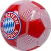 VICTORIA Calcio FC Bayern Monaco R5 709489 Anteprima dell’immagine prodotto 2