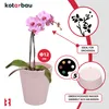 KOTARBAU® Pot de fleurs Rose Céramique émaillée ⌀ 12 cm Voir les images du produit 5