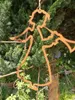 Edelrost Fensterbild Engel, Silhouette Fensterbild Engel - Produktbild-Vorschau 3