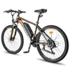 Fafrees Hailong 26 Zoll E-bike 36V 13,5 Ah Lithium Akku Produktbild-Vorschau 3