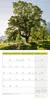 Bäume Kalender 2027 - 30x30 - Art12 Produktbild-Vorschau 12