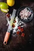 A grater is shown with lemons, guavas, and some red square candies, with grated lemon zest scattered around. Anteprima dell’immagine prodotto