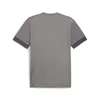 Puma Teamgoal Matchday Trikot Kurzarm Herren - Grau Produktbild-Vorschau 2