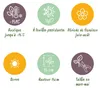 GreenboutiQ - Bodendecker - Winterhart - Sedummatte - Produktbild-Vorschau 7