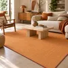 Sisal Natur Teppich Astra Braun, Größe:80x160 cm Produktbild-Vorschau 1