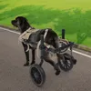 Pomůcka k chůzi pro psy na zadních nohách rehabilitační Náhled obrázku produktu 3