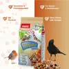 PANTO Premium Streufutter schalenlos 900g - für Wildvögel, Produktbild-Vorschau 2