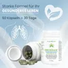 Plantocaps Smoksan+ Kapseln 60 St Produktbild-Vorschau 2