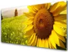 Acrylglasbilder 100x50 Wandbild Druck Sonnenblume Pflanzen Produktbild-Vorschau 1