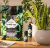 Tečné Hnojivo Pre Zelené Rastliny 0.475L Lechuza Náhľad obrázku produktu 4