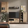 A modern living room setup featuring a TV and media console. Anteprima dell’immagine prodotto