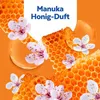 Flüssigseife No-Touch Manuka Honig 3279958 250ml Produktbild-Vorschau 6