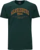 Übergrößen T-Shirt Harrisburg Orange AHORN SPORTSWEAR Produktbild-Vorschau 1