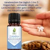 Zahn+ | Zahnpflege Hund & Katze | zur Unterstützung der Produktbild-Vorschau 2
