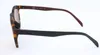 Adidas AOR017/N Havana brown 47/23/140 Uni Sonnenbrillen Produktbild-Vorschau 3
