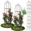 TTL GARDEN Rankhilfe Obelisk XL 195x40cm braun 4er Set – Produktbild-Vorschau 1