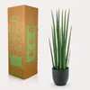 Umelá rastlina Sansevieria Cylindrica Ø70cm - umelá zelená Náhľad obrázku produktu 4