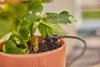 Gardena Micro-Drip-System Set Balkon (15 Pflanzen) Produktbild-Vorschau 18