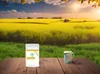 VITARAGNA Hypoallergenes Raps Lecithin Pulver 250 g - Reich Produktbild-Vorschau 5