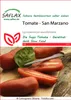 SAFLAX - Pomidor - San Marzano - 10 Nasiona - Lycopersicon Podgląd zdjęcia produktu 7