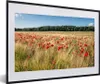 MuchoWow® Gerahmtes Poster Wilde Mohnblumen auf einem Produktbild-Vorschau 1