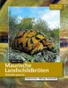 Maurische Landschildkröten Voir les images du produit 4