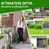TTL GARDEN Hochbeet Superior M 80x50x80cm Anthrazit-Silber Produktbild-Vorschau 6