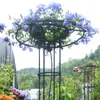Treillis circulaire pour jardin, support résistant aux Voir les images du produit 3