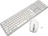 A silver wireless keyboard and a white wireless mouse are shown on a white background. Anteprima dell’immagine prodotto