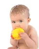 Playgro - Kačenka do vany Náhled obrázku produktu 2