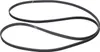 A black serpentine belt is shown against a white background. Produktbild-Vorschau