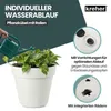 Kreher® XL Pflanzkübel / Pflanztopf „LIKE“ Ø58xH51 cm - Produktbild-Vorschau 6