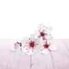 Air Wick Freshmatic Max Nachfüller PURE Kirschblüte Produktbild-Vorschau 4