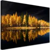 Obraz na płótnie Krajobraz Las Natura Złoty 120x80 Feeby Podgląd zdjęcia produktu 1