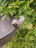 Fiche de jardin coupe avec vrille, brun foncé Voir les images du produit 5