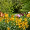 15 tlg. Beetzaun, Beetumrandung für Garten, Dekozaun aus Produktbild-Vorschau 5