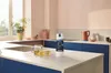Filtre à charbon actif Grohe Blue 40547_1, 1 pièce. Voir les images du produit 13