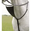 Close-up of a horse's chest with a black leather martingale bib attached. Náhled obrázku produktu