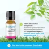 Bioherba Ätherisches reines Oreganoöl 10 ml Produktbild-Vorschau 3