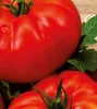 9x Tomate Supersteak F1 - Alte Sorten Samen Gemüse KS596 Produktbild-Vorschau 3