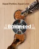 Futterautomat Katze 2 Näpfe Katzenfutter Automat: Edelstahl Produktbild-Vorschau 2